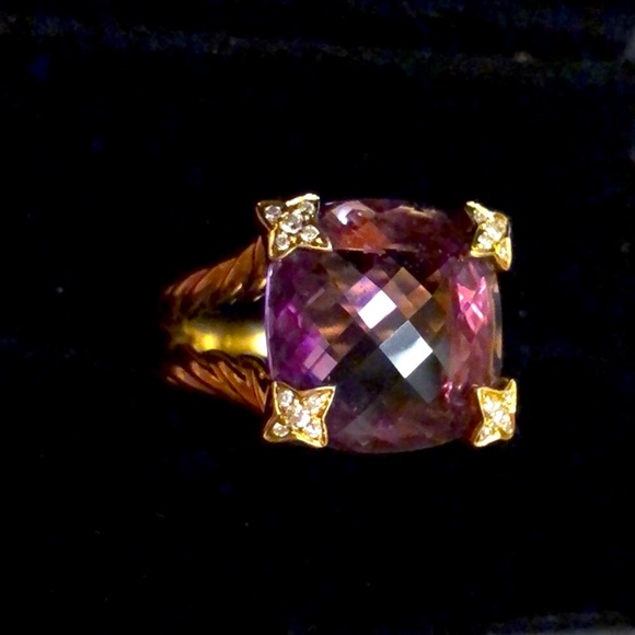 Meet your Posher, Mina - Picture 3 of 3